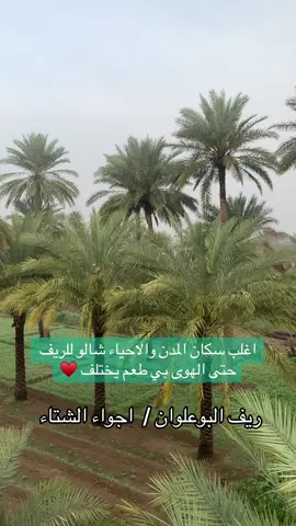 #محاويل_قريه_البوعلوان #مالي_خلق_احط_هاشتاقات🧢 #المسيب_بابل_الحله_سدة_الهنديه_المهناويه #بابل_الحله_الجمعيه_شباب_بنات_الحله #المحاويل_قرية_البوعلوان 