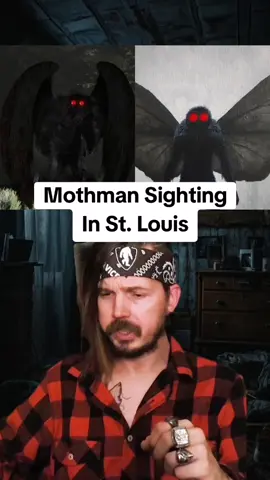 Mothman Sighting in St Louis 😬 #mothman #mothmanfanclub #stlouis #stlouismo #mothmanfanclub #sighting #cryptid #mothmanart 