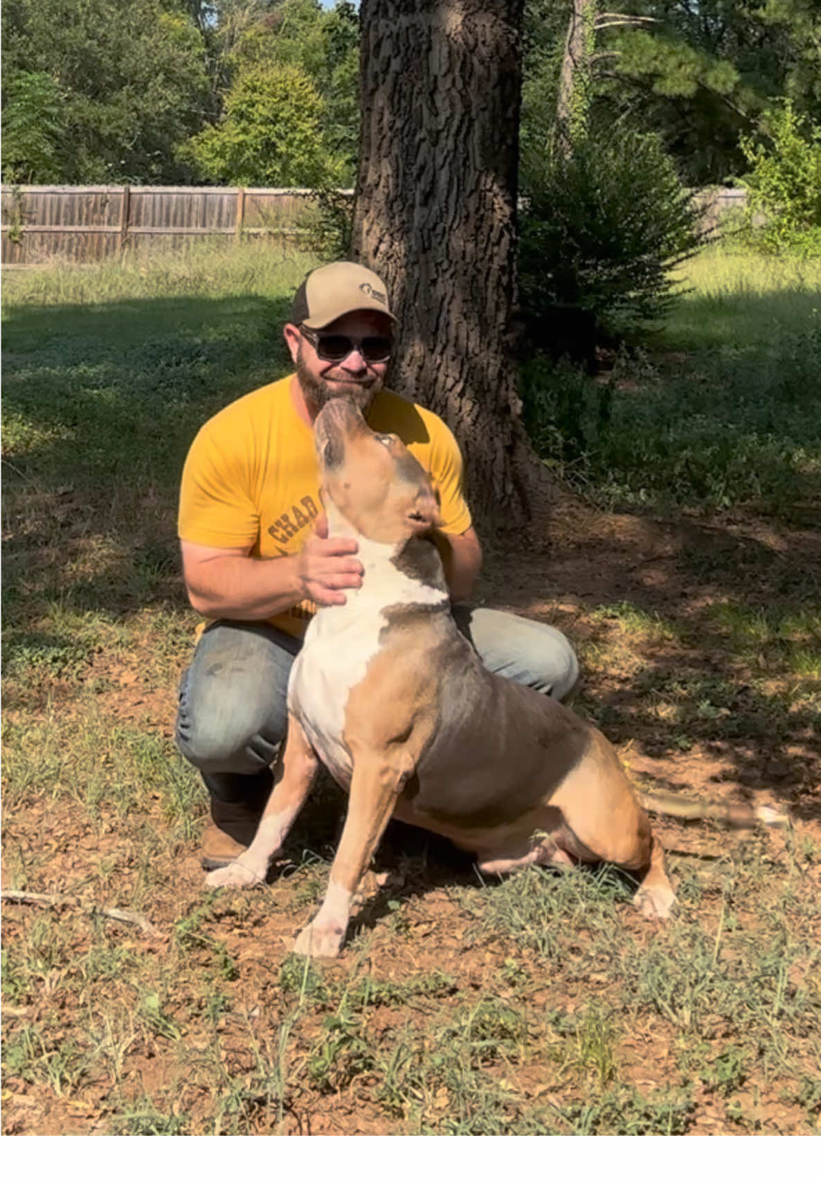 Lover boy Liotta 🥰🐾 #WheelerBullies #americanbullyxl #PetsOfTikTok #beautifull #fyp 
