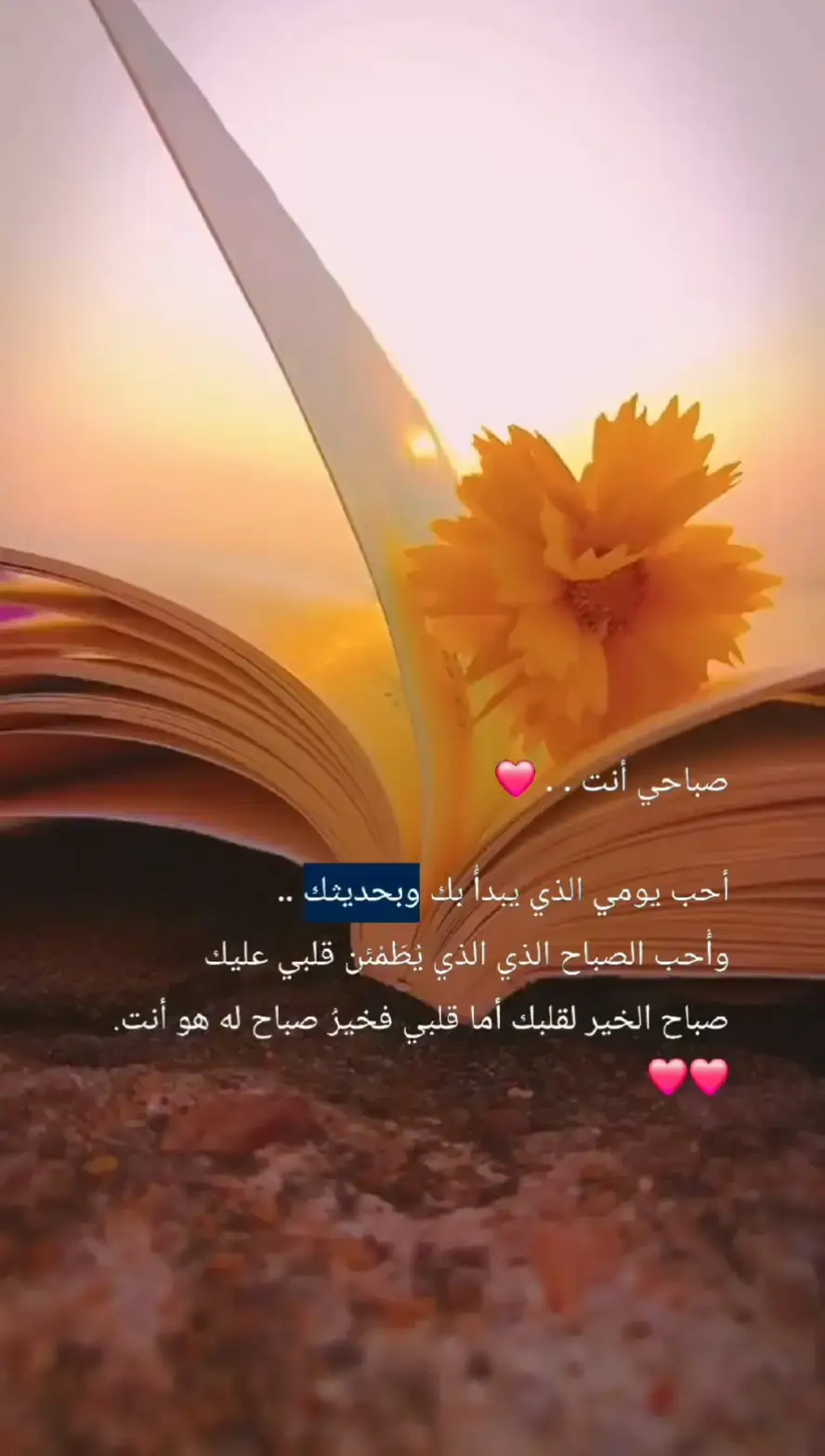 صباحي انت ❤️