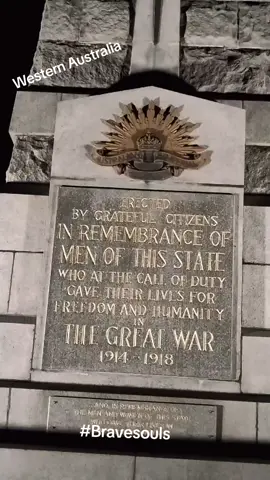#kingspark #fyp #lestweforget #together 