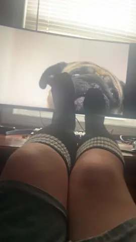 … #fyp #viral #femboy 