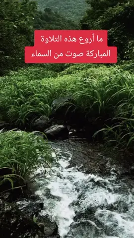 تلاوة خاشعة مؤثرة لشيخنا عبد الباسط عبد الصمد رحمه الله اللهم اجعل القران الكريم ربيع قلوبنا ونور صدورنا 