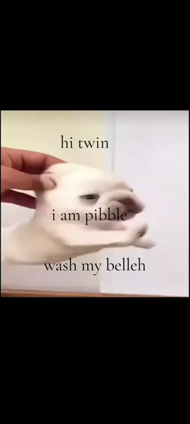 i am pibble wash my belleh @✮𝙂𝙧𝙞𝙥𝙥𝙮𝙊𝙧𝙖𝙣𝙜𝙚ᝰ.ᐟ @Adrianvr @ƁĤ @Beetyfv!@Blixten @Bob_VR @BoltVR @Cammo! :D [HIATUS] @Cars🔛🔝 #pibble #dog #67 #jo #vr 