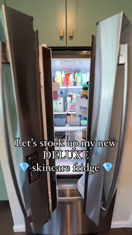 If you’re concerned— this is satire and not my real skincare fridge.  #skincare #skincarefridge #skincareinfluencer #Repurposeio 