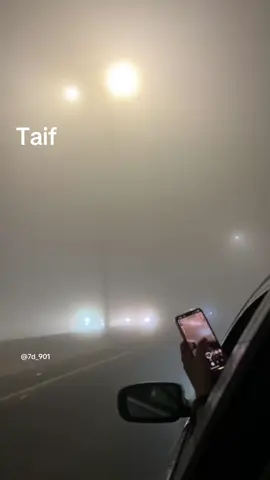 #لايك #مالي_خلق_احط_هاشتاقات🧢 #Taif ##فلو #اكسلبور 