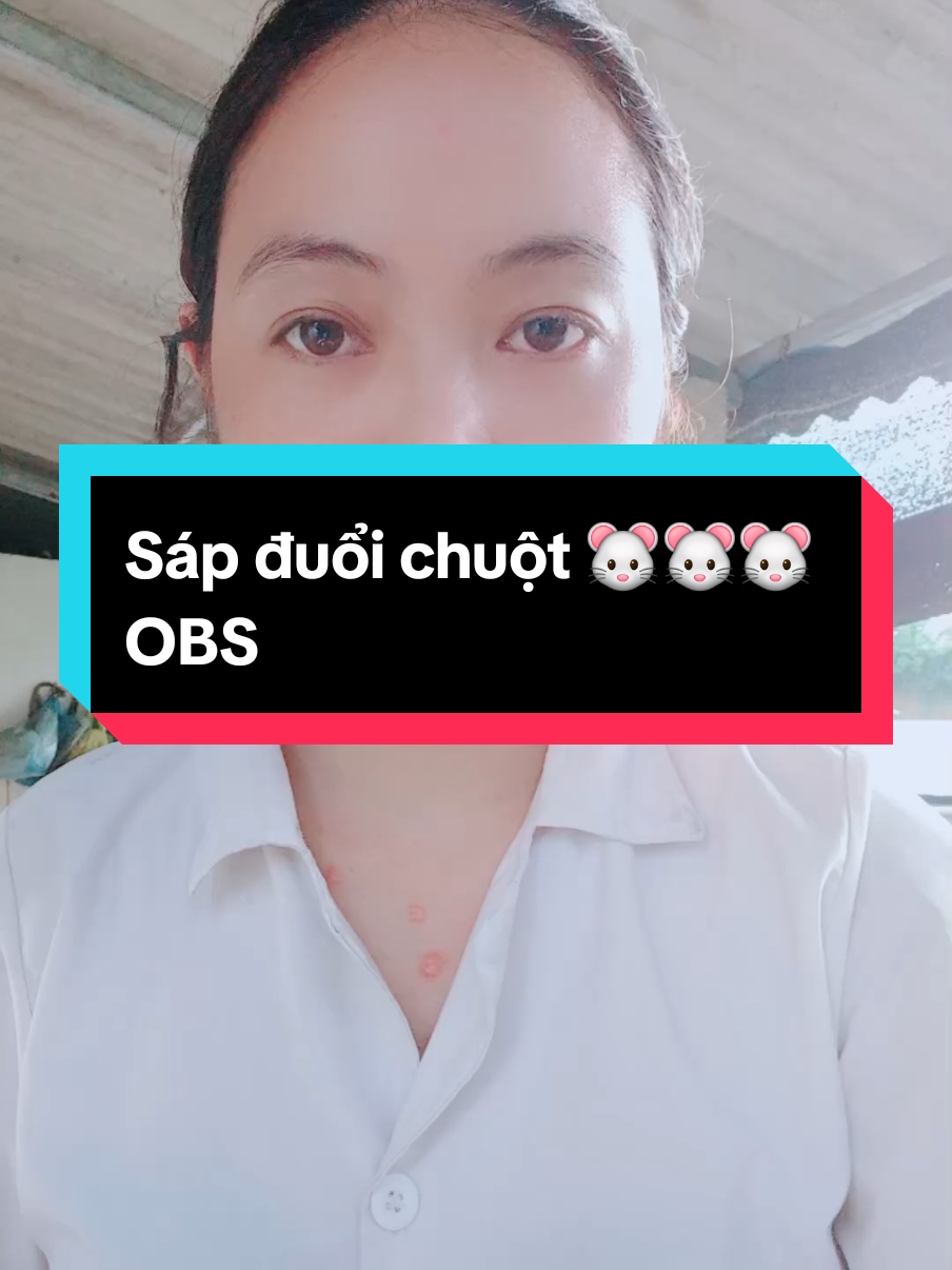 Sáp đuổi chuột 🐭🐭🐭bằng tinh dầu bạc hà và long não  diệt chuột 🐭 diệt côn trùng khá là ok . #hoathienly9592  #xuhuong  #sapduoichuotobs  #obs #duoichuot 