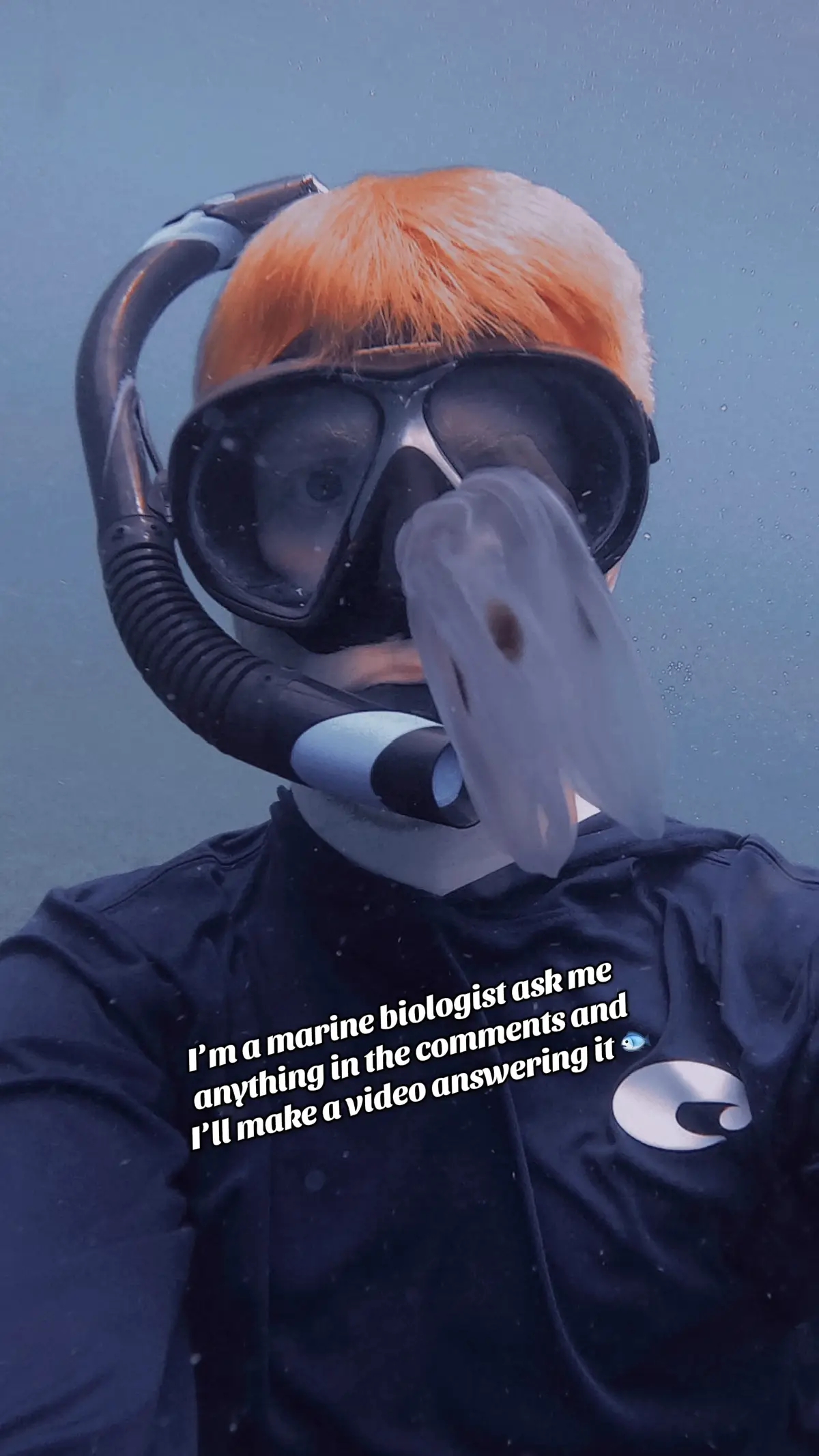 Ask me anything about marine biology 🐙#science #marinebiology #science #stem #ocean 