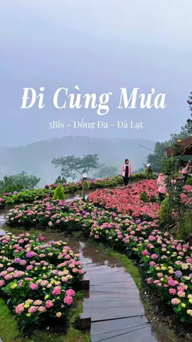 Đà Lạt vẫn còn mưa và Đà Lạt vẫn còn chờ các bạn 🥰🥰 📍 Đi Cùng Mưa ( 3Bis - Đống Đa ) #dalatreviewtravel #latnoitravel #dicungmua 