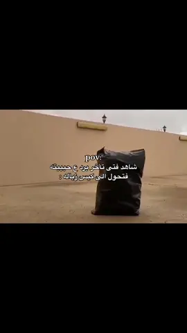 #fly 