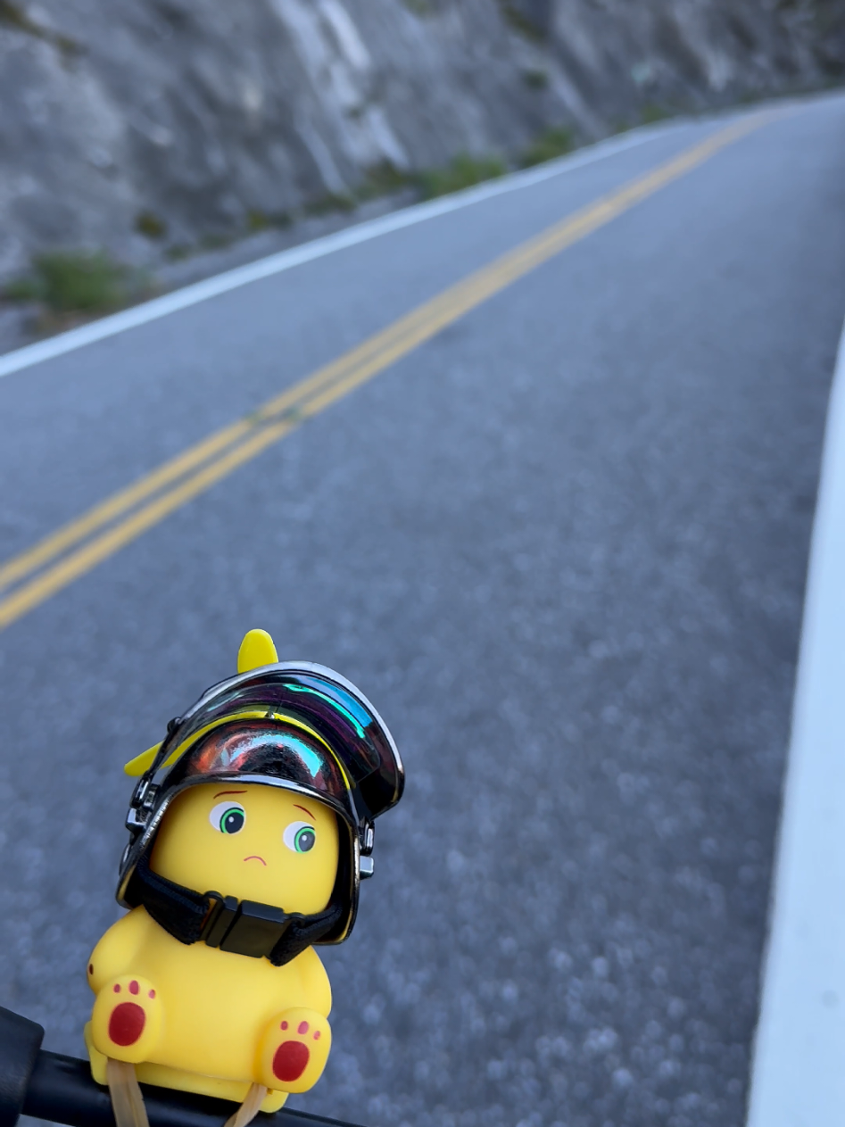 🐥 : P adu kegabutan 😁 #hehuanshan #nantou #taiwan🇹🇼 #fyyyyppppppp 