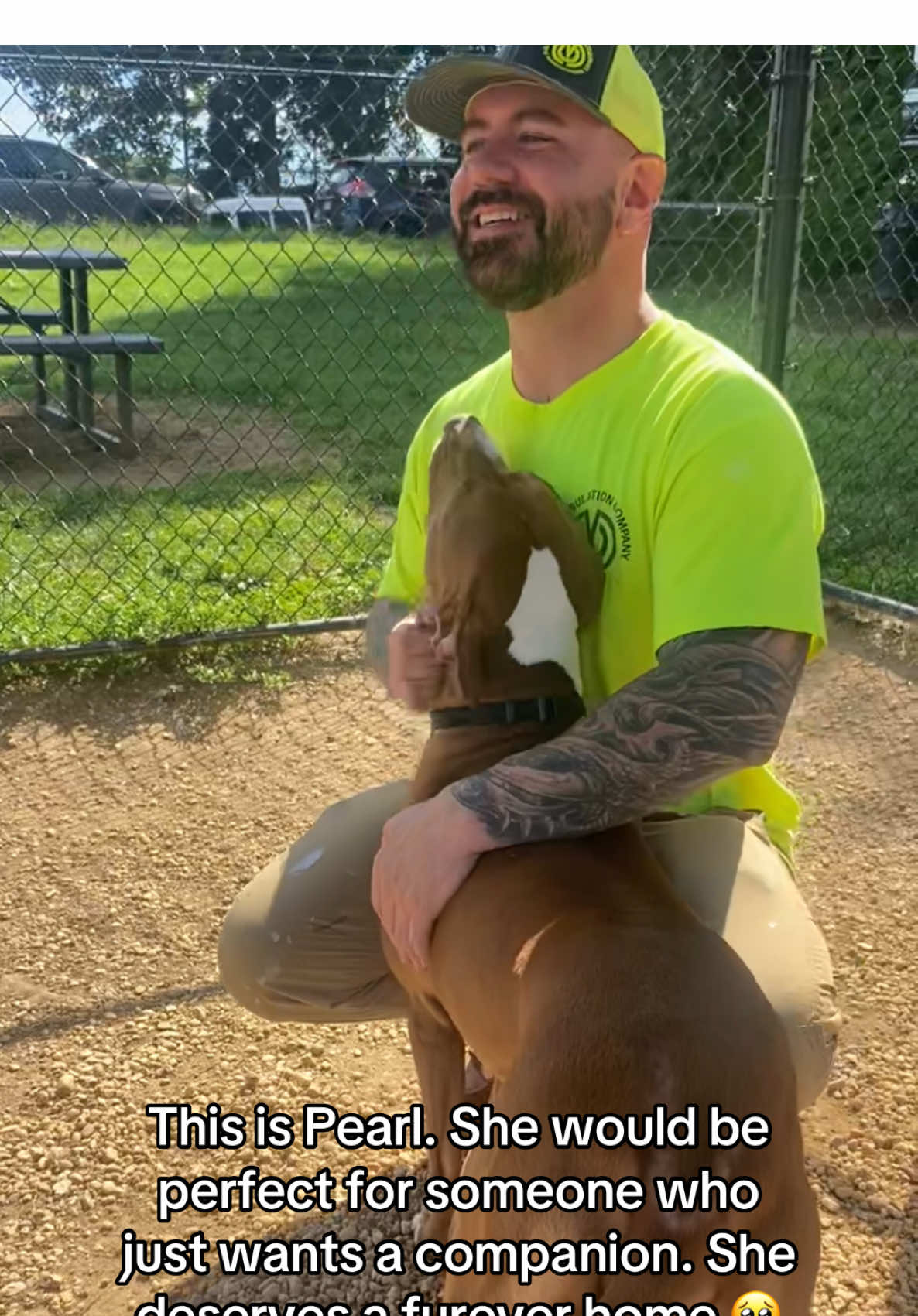 ACCT Philly has a crisis right now and they need help. If anyone is looking to adopt please consider going here. I got to meet some nice dogs today and I can’t believe they don’t have a home 🥺