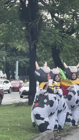 Jajajajajaja la vaca muuuu 