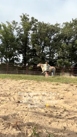 Why so sassy 🤣 #horse #horseaoftiktok #horsegirl #barnlife #fyp 