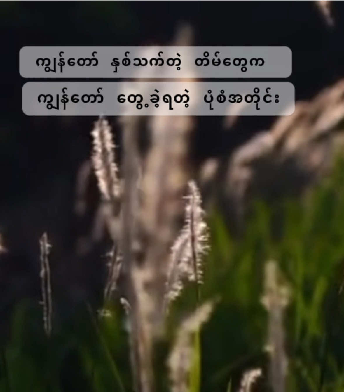 #myanmartiktok #foryou #🥺🥀 #fyp အခုတစ်လော တိမ်လေးတွေကို သဘောကျတဲ့ အကြောင်းရင်း ✨🥺🤍
