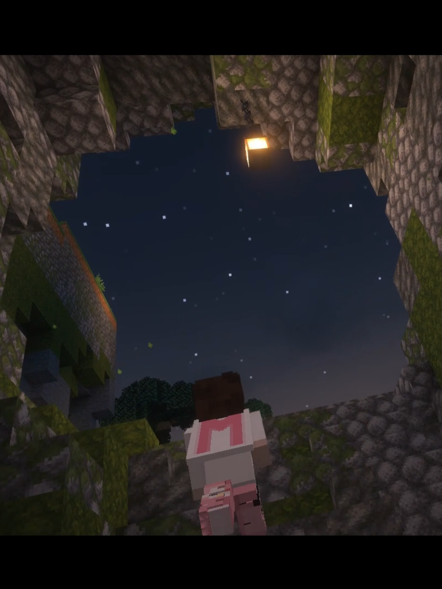 PART 2???? #Minecraft #foreverworld #mc #minecraftbuilding #mt26x #fyp #minecraftmovie #viral