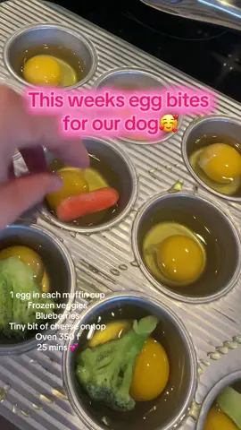 My husband and I love to spoil our rescue dog Remi whenever we can and she LOVES eggs!! This is the best way to give her a little snack or to top her dinner💕  1 egg in each muffin cup Frozen veggies Blueberries Tiny bit of cheese on top Oven 350 for 25 mins #rescuedog #dogmealprep #mealprep #fyp #foryou 