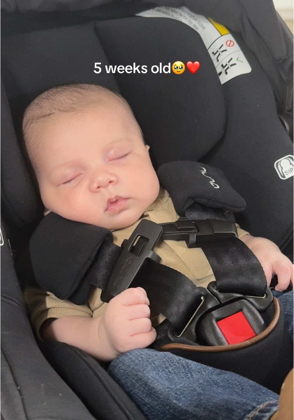 Mi bebe grande, ya casi cumple sus 6 semanas😭❤️