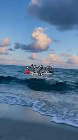 #اكسبرلووووووور #فولو #ليبيا🇱🇾 #الشعب_الصيني_ماله_حل😂😂 #ليبيا_طرابلس_مصر_تونس_المغرب_الخليج #حب #تصميم #fyp #foryoupage #fypシ゚ ##n 