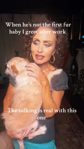 #dogsoftiktok #spoileddog #genx #emptynesters 