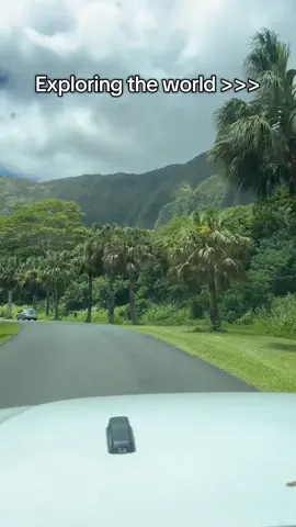 Some places speak louder than words. Hawaii is one of them 🌸🌎🌴 #botanicalgarden  #drivethru  #nature  #fyp  #hawaii 