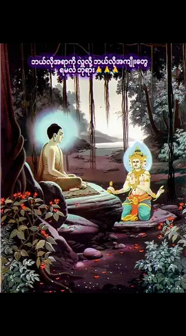 #သစ္စာရွှေစည်ဆရာတော်အရှင်ဥတ္တမ၏တရားတော် #ကုသိုလ်တွေထပ်တူရပါစေ #သာသနာ့ရောင်ဝါထွန်းစေချင်🙏🙏🙏🙏🙏 #viwes #viral @ဓမ္မဒါန 