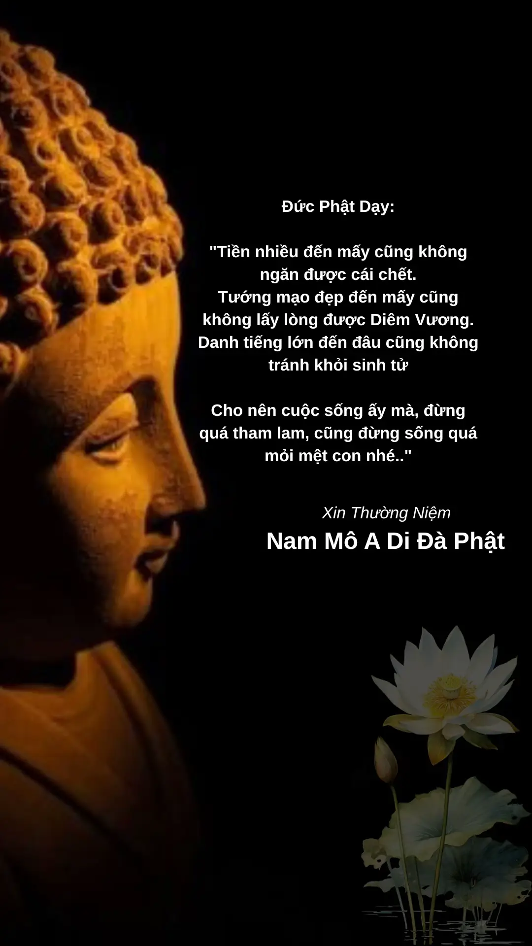 #phatphapnhiemmau #phatphap #hocloiphatday 