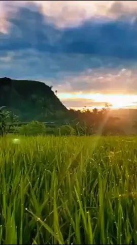 Assalamualaikum🙏 morning all🇮🇩🌎💕 وَعَسَىٰٓ أَن تَكۡرَهُواْ شَيۡـٔٗا وَهُوَ خَيۡرٞ لَّكُمۡ:  Dan boleh jadi kamu membenci sesuatu, padahal ia amat baik bagimu. وَعَسَىٰٓ أَن تُحِبُّواْ شَيۡـٔٗا وَهُوَ شَرّٞ لَّكُمۡ:  Dan boleh jadi (pula) kamu menyukai sesuatu, padahal ia amat buruk bagimu. وَٱللَّهُ يَعۡلَمُ وَأَنتُمۡ لَا تَعۡلَمُونَ:  Allah mengetahui, sedangkan kamu tidak mengetahui. QS: Al Baqarah 216.