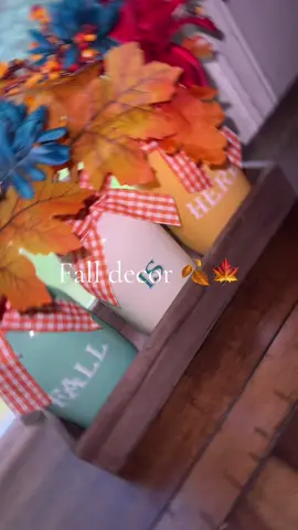Finally put my fall decorations up 🍂🍁 #fyp #fall #falldecor #housedecor #foryoupage 