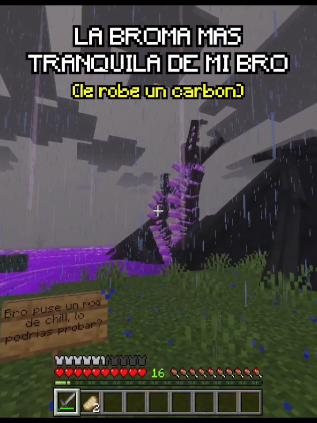 Bromita sale bien 🥵 #Minecraft #minecrafter #minecraftmemes #minecraftsurvival #meme 