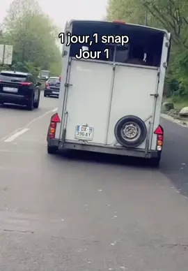 1 jour, un snap  #snapfr #ref #snap #drole 