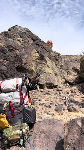 Bigfoot stole my @Near Zero pack #fyp #fypシ #bigfoot #campinglife #adventure 