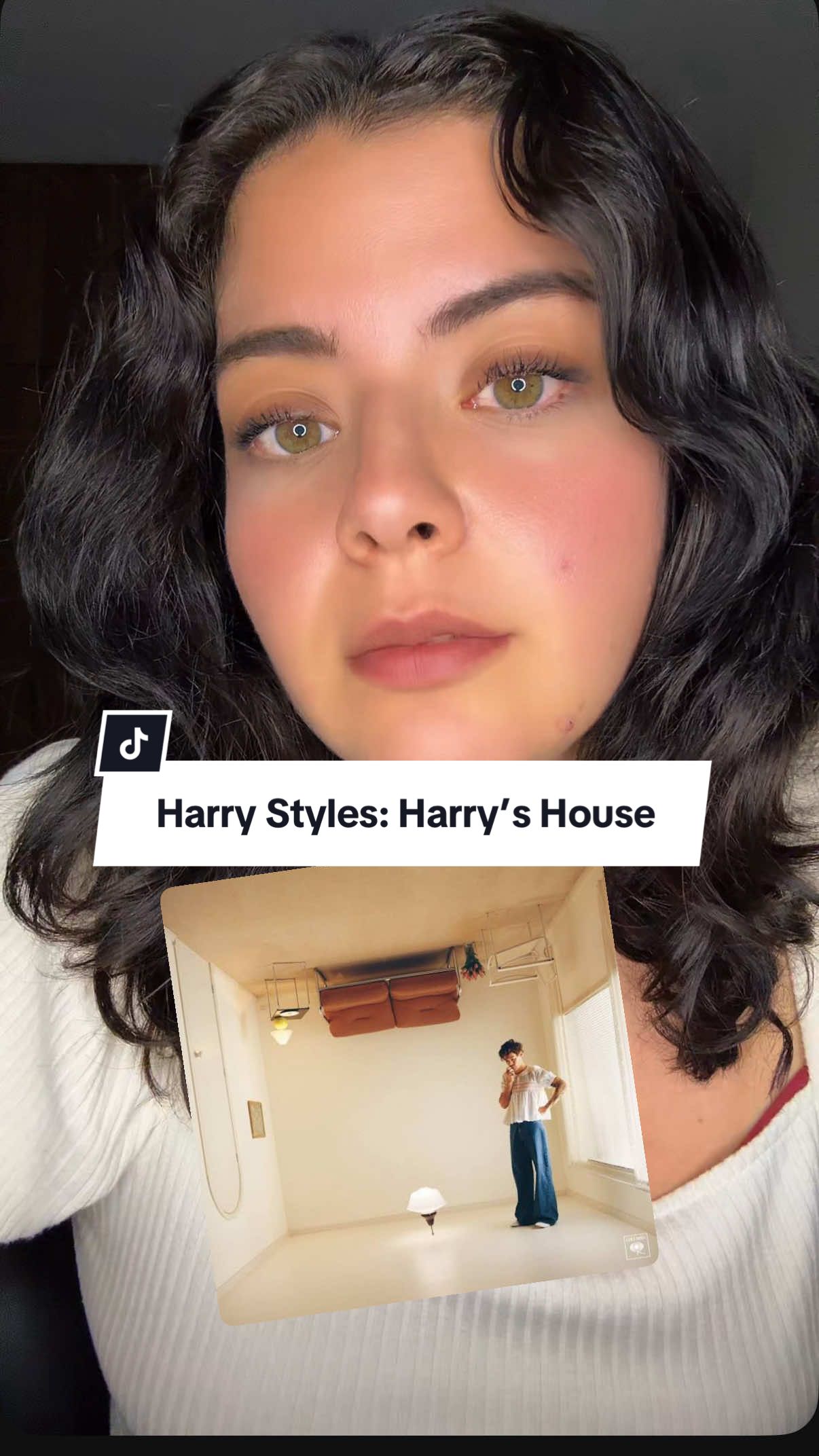 Harry Styles: Harry’s House y el Grammy más esperado a Mejor álbum del año en el 2023 🏆 #harryshouse #harrystyles #grammys #music #fyp 