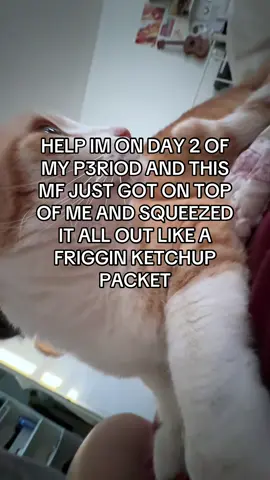 a clot was born today 🙏🏻#catsoftiktok #fyp 