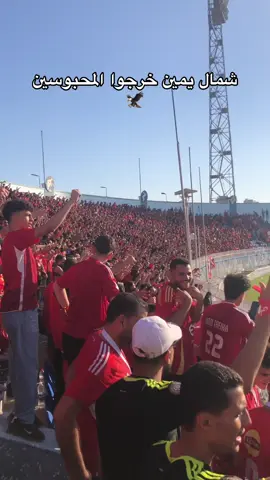 #الحريه_لجمهور_الاهلي 
