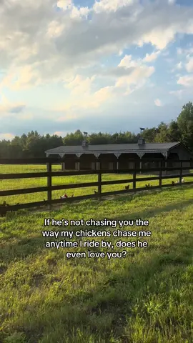 I love them so much 🤣 #Love #chickens #farmlife 