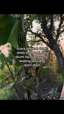 #fyp #foryou #viral #berjuang #sukses 