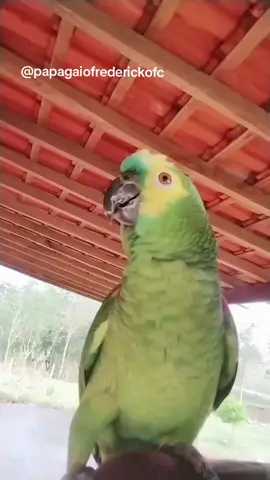 quem é sou eu curte comenta compartilha 