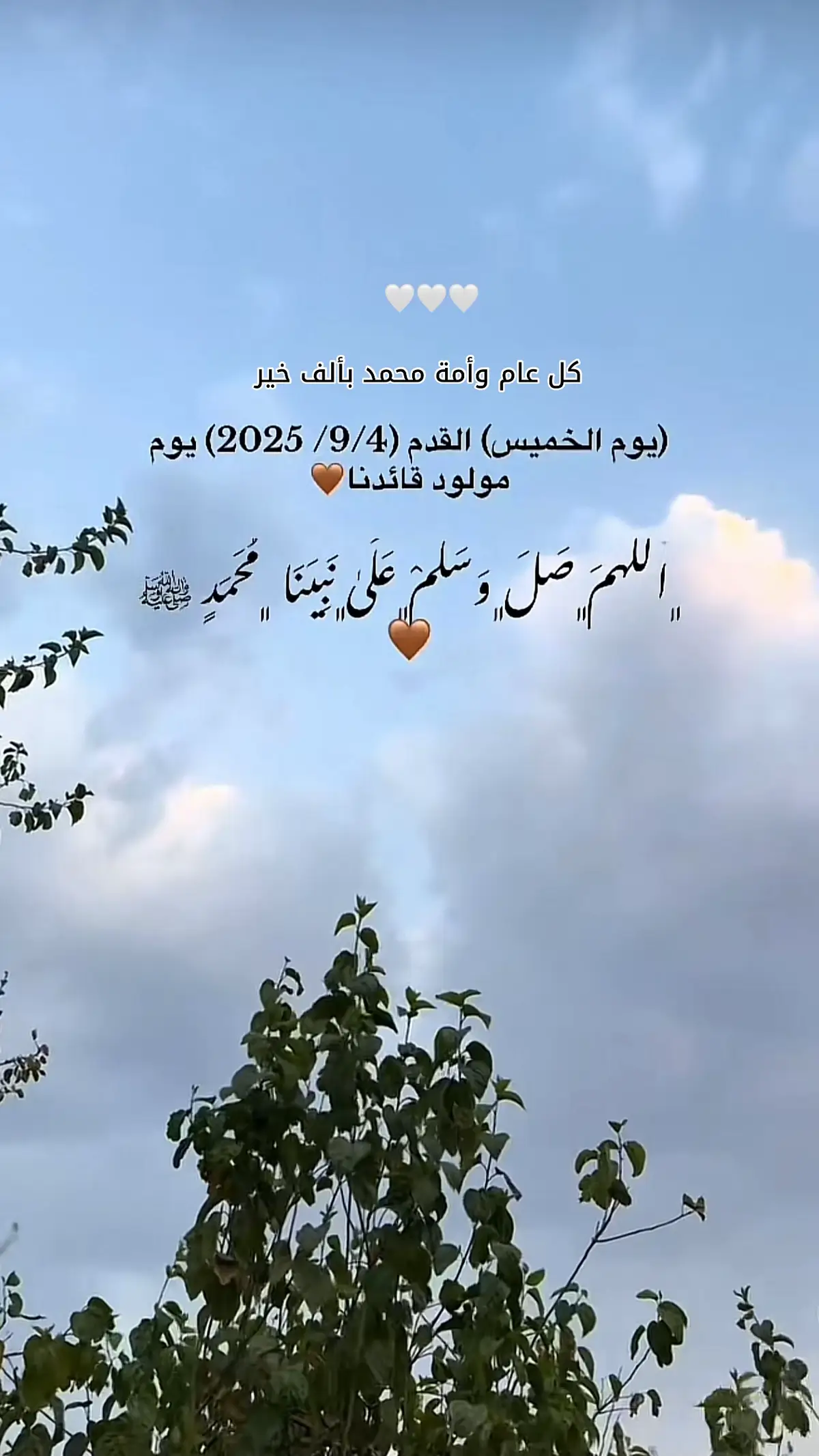 كل عام وأنتم بخير 💖💖#foryou #كلام_من_القلب #عبارات #fypシ #foryoupage #اللهم_صلي_على_نبينا_محمد #صلوا_على_رسول_الله #اجر_لي_ولكم_ولوالدينا_وللمسلمين #مولد_النبوي_الشريف_مبارك #مجرد________ذووووووق🎶🎵💞 