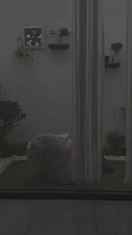 #CapCut 