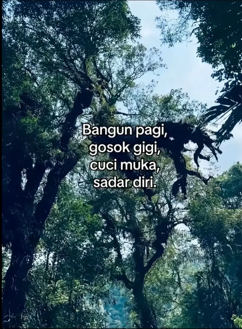 hhe