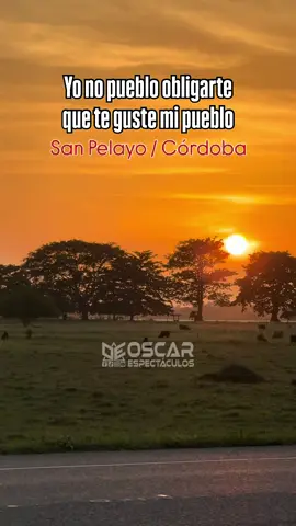 Un atardecer 😍 #virals 