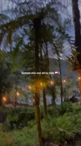 #parati #Viral #sad ❤️‍🩹