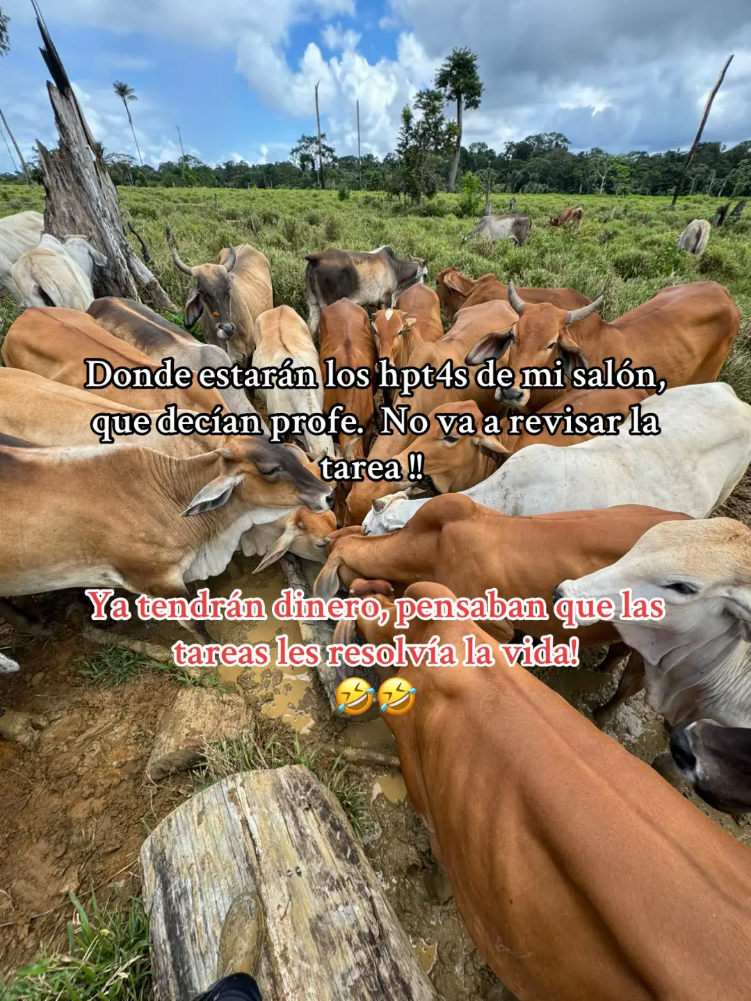 Donde estarán ? 