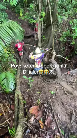 Suara yg bikin tamba semangat😭☠️#fyp #crf150l #borup 
