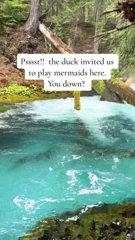 Hey you!! How could we reject this little guys invite?? 🥹🧚‍♂️ #oregon #PNW #roadtrip 