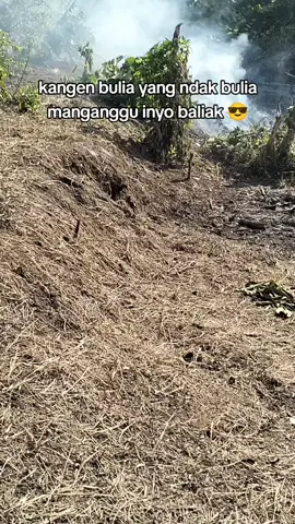 la habis carito 🤣🤣