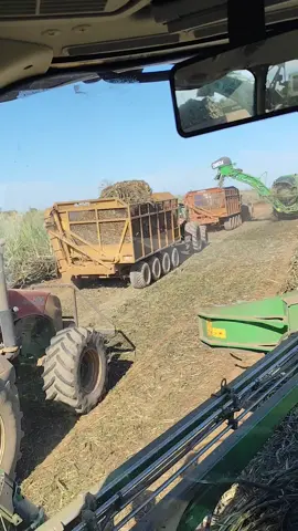 CH 950... Magnum 260... Cana Queimada... Frente 8 no comando...