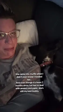 #anxietysupport #anxiety #panic #panicattack #mydog 