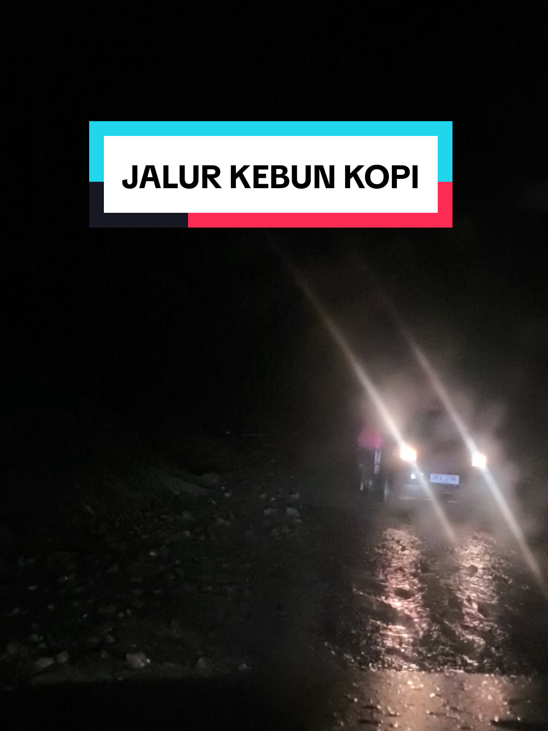 jalur kebun kopi hari ini setelah hujan #kebunkopi #jalurpaluparigi #jalankebunkopi #cctvkebunkopi 